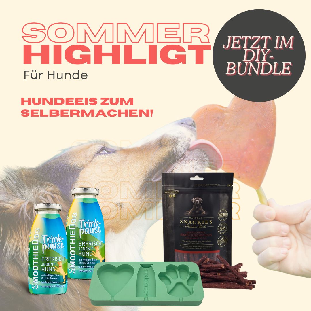 Hundeeis - DIY Hundeeis-Bundle mit SmoothieDog & Snackies