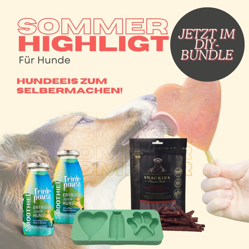 Hundeeis - DIY Hundeeis-Bundle mit SmoothieDog & Snackies