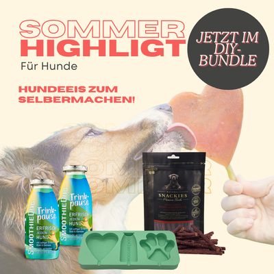 Hundeeis - DIY Hundeeis-Bundle mit SmoothieDog & Snackies Hundeeis - DIY Hundeeis-Bundle mit SmoothieDog & Snackies