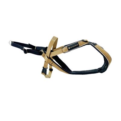 V.I.P Multisport Harness Gold
