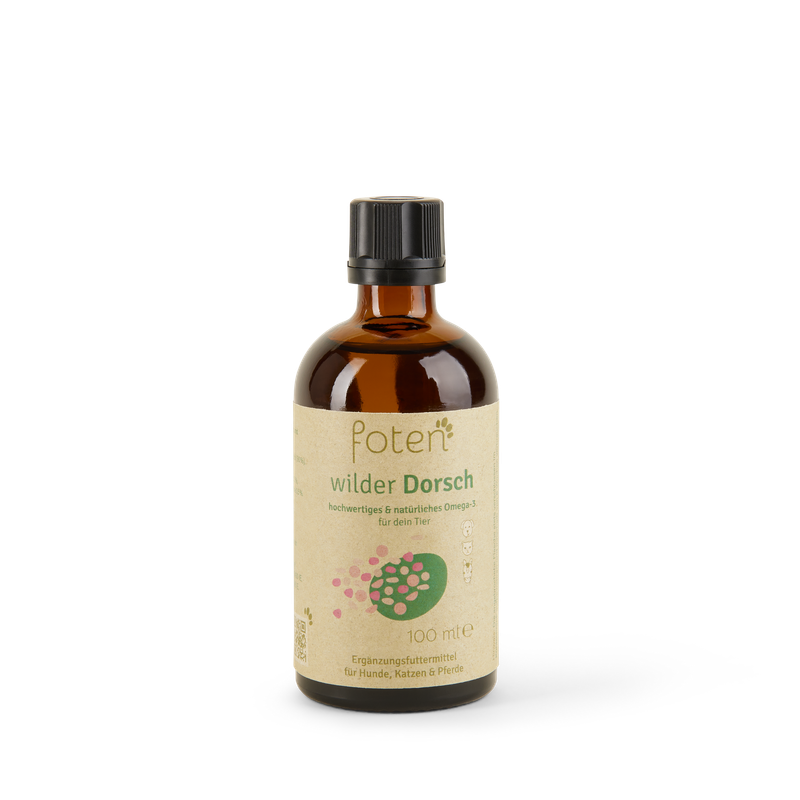 foten wilder Dorsch