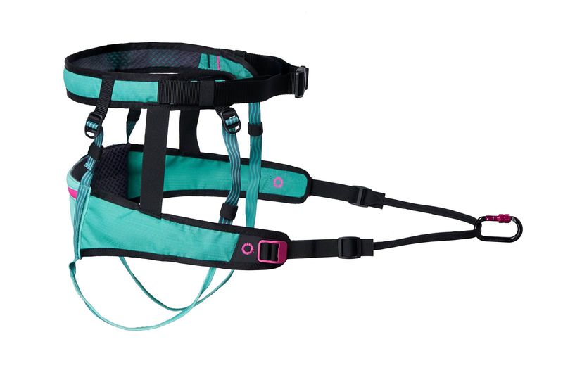 Non-Stop Dogwear Canix Belt 2.0 aqua/pink, Laufgurt