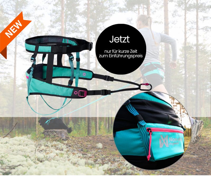Non-Stop Dogwear Canix Belt 2.0 aqua/pink, Laufgurt Non-Stop Dogwear Canix Belt 2.0 aqua/pink, Laufgurt
