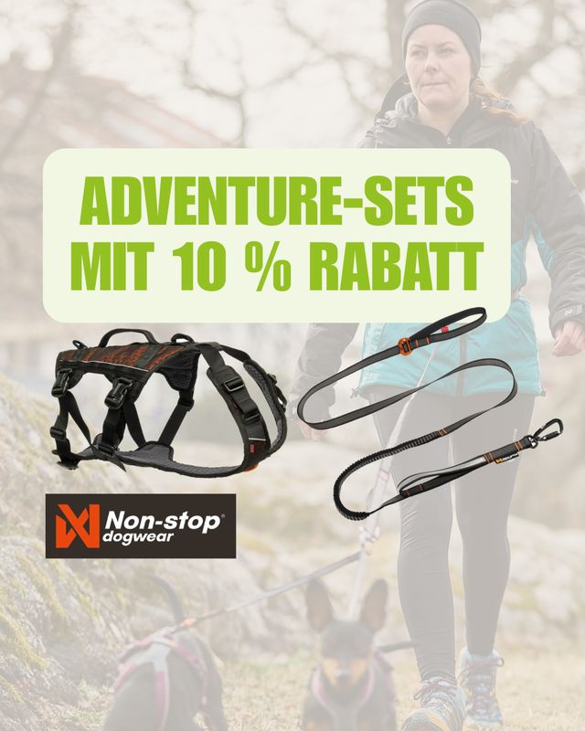 Non-stop dogwear Rock Harness Long + Touring Bungee Adjustable Set Non-stop dogwear Rock Harness Long + Touring Bungee Adjustable Set