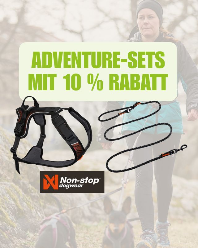 Non-stop dogwear Rock Harness + Rock Adjustable Leash Set Non-stop dogwear Rock Harness + Rock Adjustable Leash Set