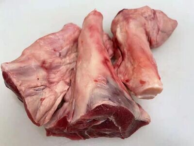 ACHILLES  TENDON