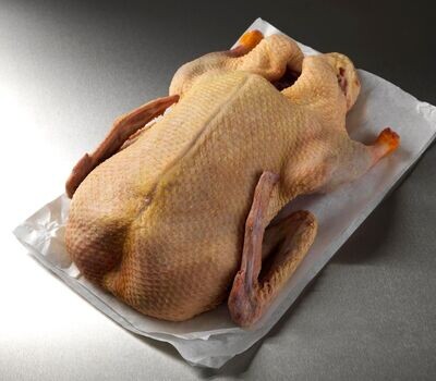 DUCK WHOLE (with HEAD & FEET )