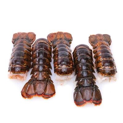 LOBSTER TAILS