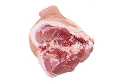 HAMLEG BONE IN UNC