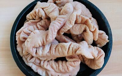 INTESTINE, LARGE