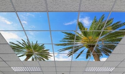 SKY TROPICAL TREES LED CEILING PANELS