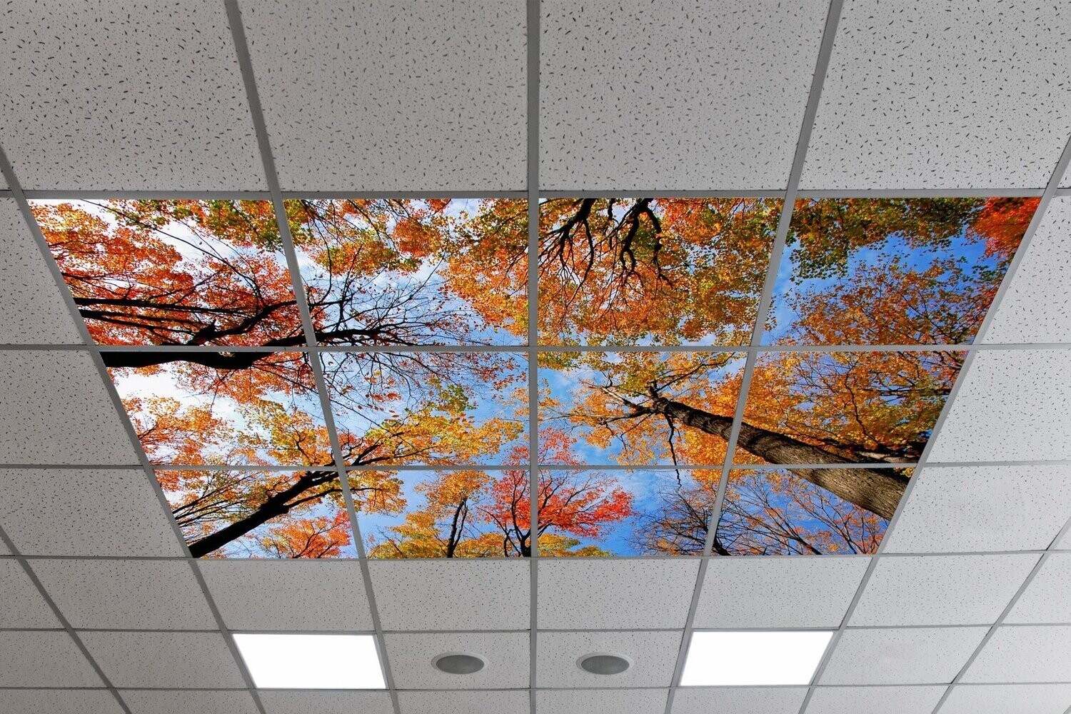 LED ceiling panel with autumn trees and colourful fall leaves in a 600x600mm design for indoor spaces