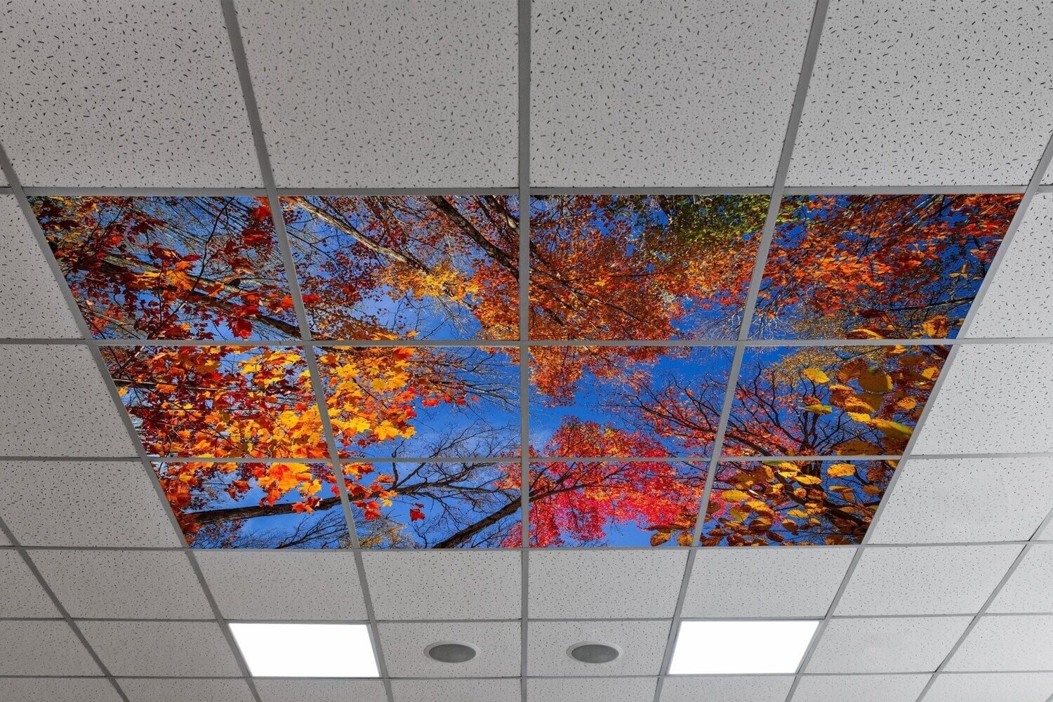 Sky Trees & Flowers LED Ceiling Panels STF5 - Blue Sky Trees with Colourful Leaves