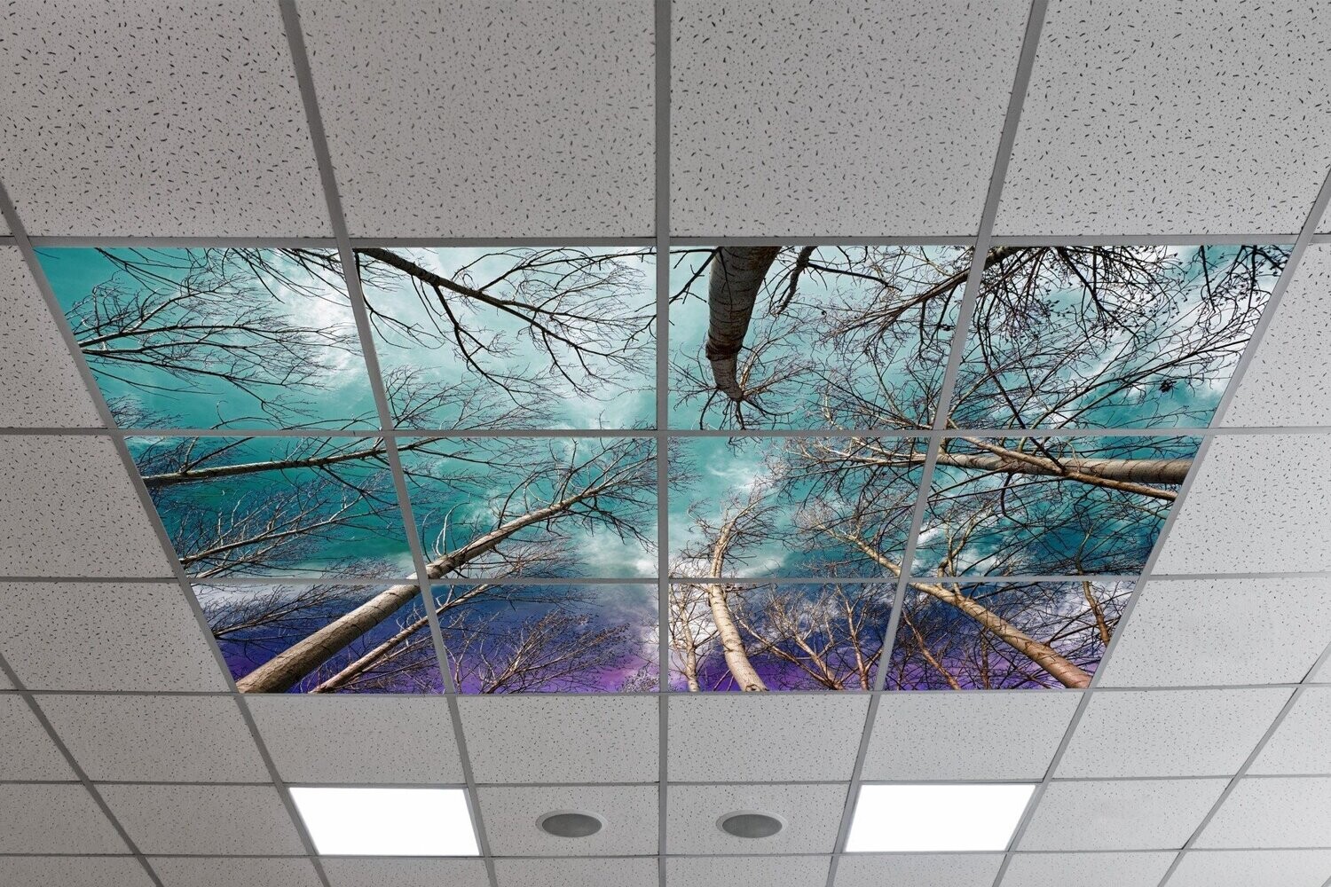 Sky Trees & Flowers LED Ceiling Panels STF8 - Cloudy Sky with Autumn Trees