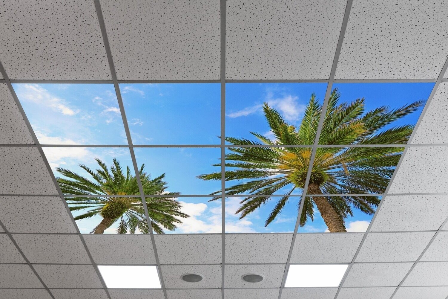 Sky Tropical Trees LED Ceiling Panels STT4 - Blue Sky with Palm Trees