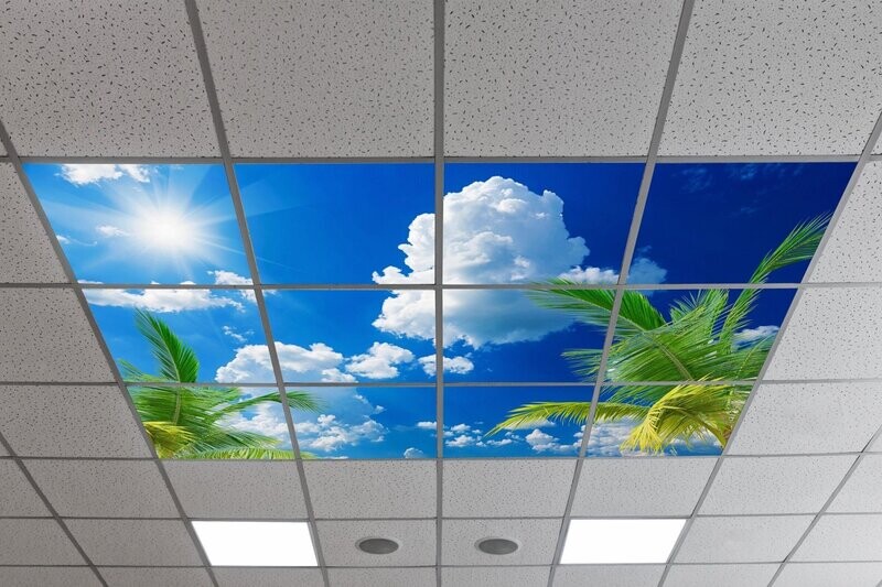 Sky Tropical Trees LED Ceiling Panels STT3 - Blue Sky with Clouds & Palm Trees