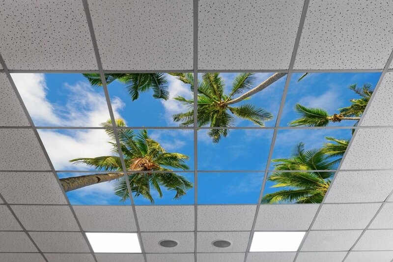 Sky Tropical Trees LED Ceiling Panels STT1 - Blue Sky with Clouds & Palm Trees
