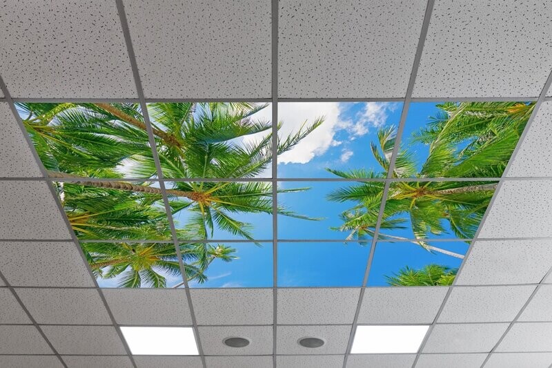 Sky Tropical Trees LED Ceiling Panels STT5 - Blue Sky with Palm Trees