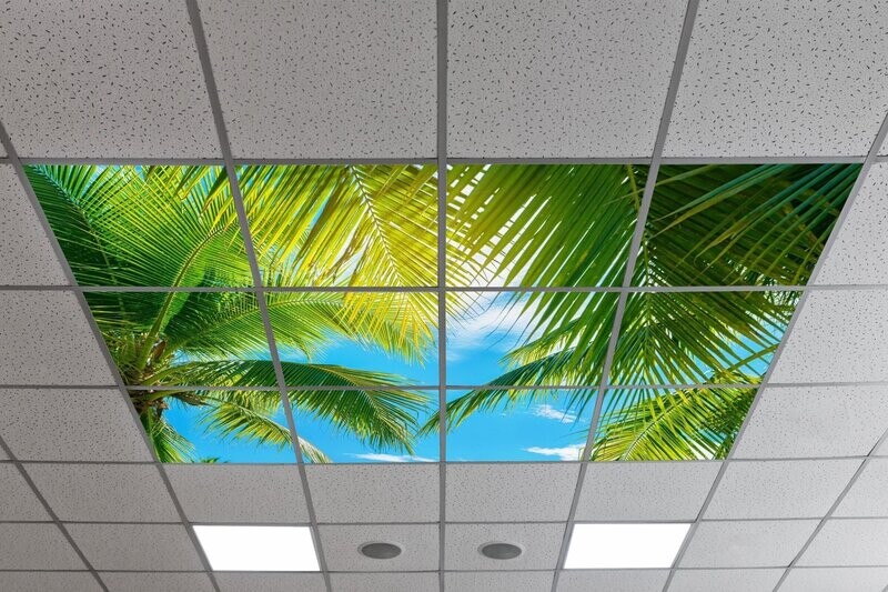Sky Tropical Trees LED Ceiling Panels STT2 - Blue Sky with Palm Trees