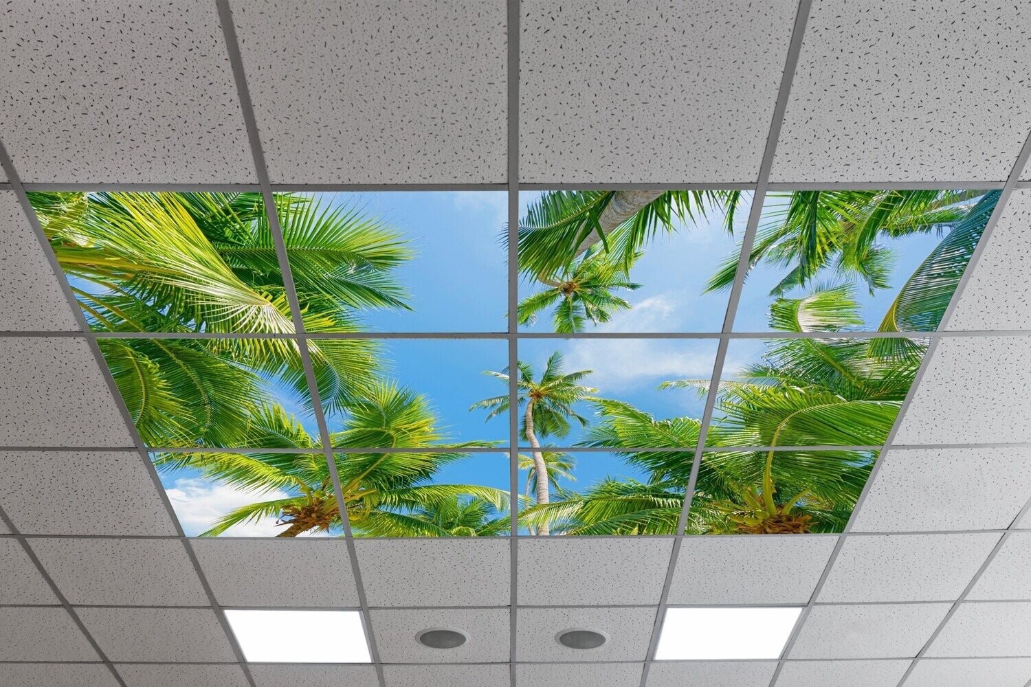 Sky Tropical Trees LED Ceiling Panels STT6 - Blue Sky with Palm Trees