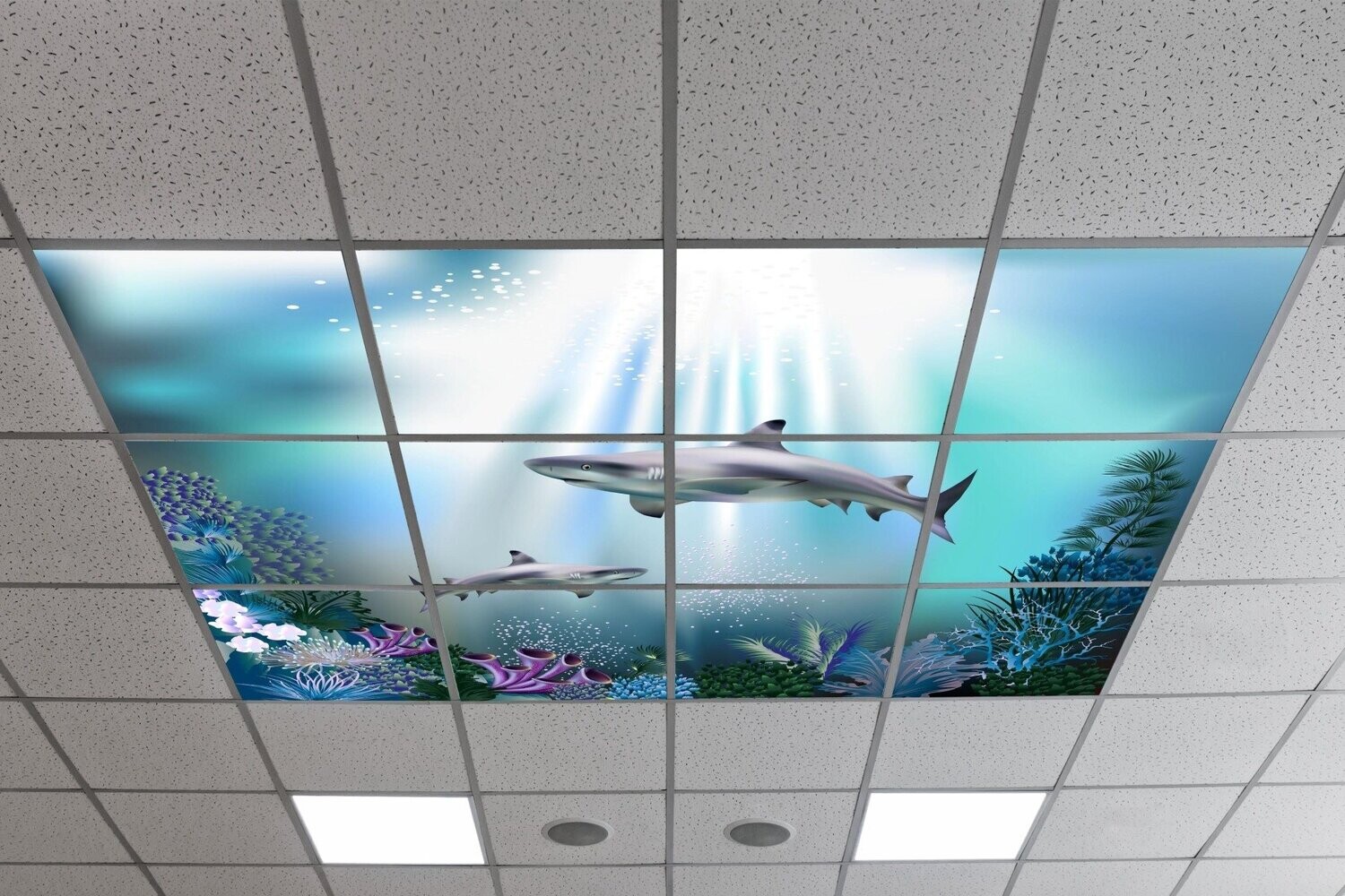 Underwater LED Ceiling Panels U3 - Coral Reef with Sharks