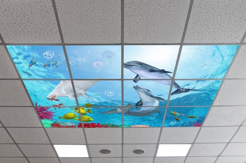 Underwater LED Ceiling Panels U2 - Coral Reef with Fishes & Dolphins