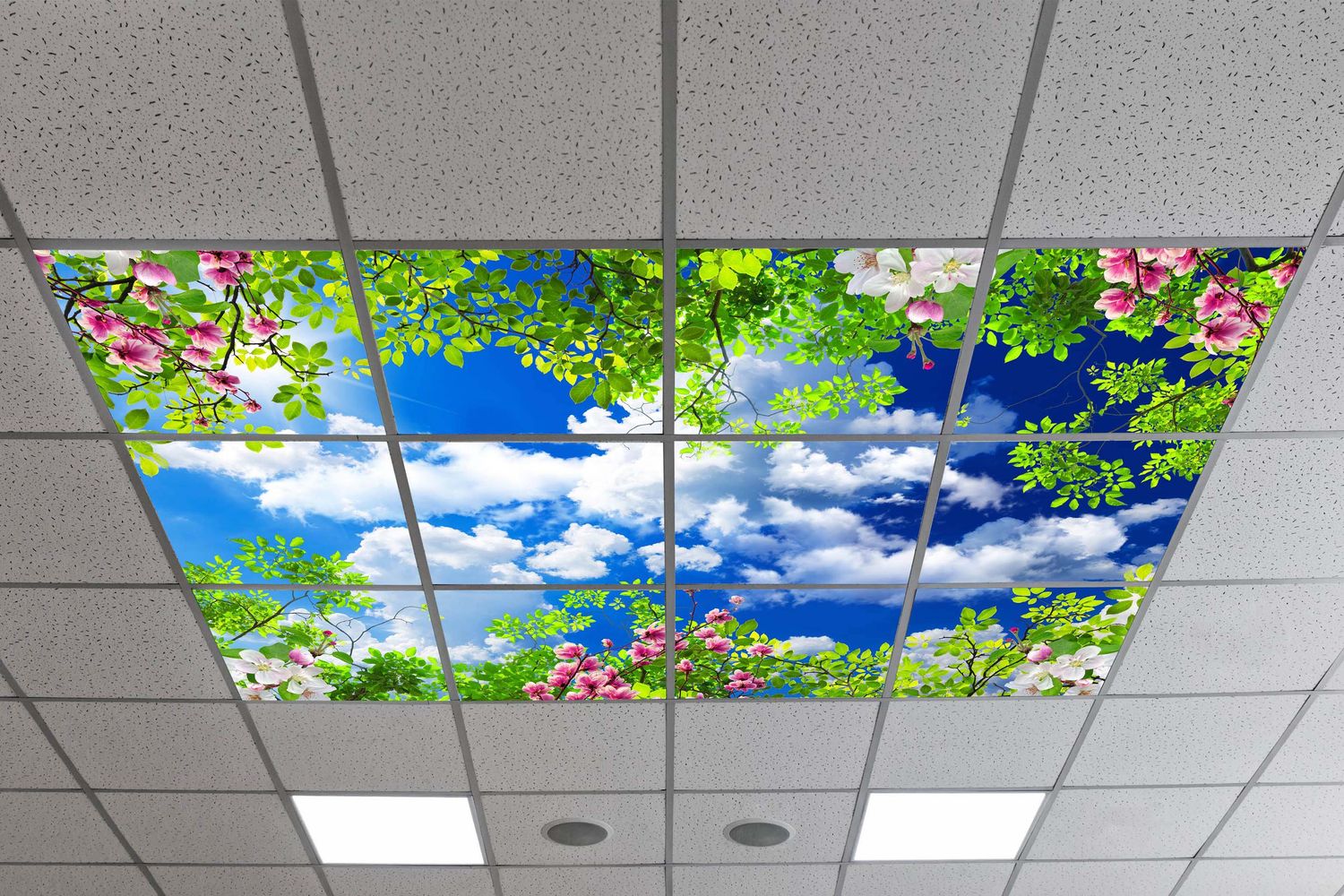 Sky Trees Flowers LED Ceiling Light Panels - Blossoms and Blue Sky - 600x600