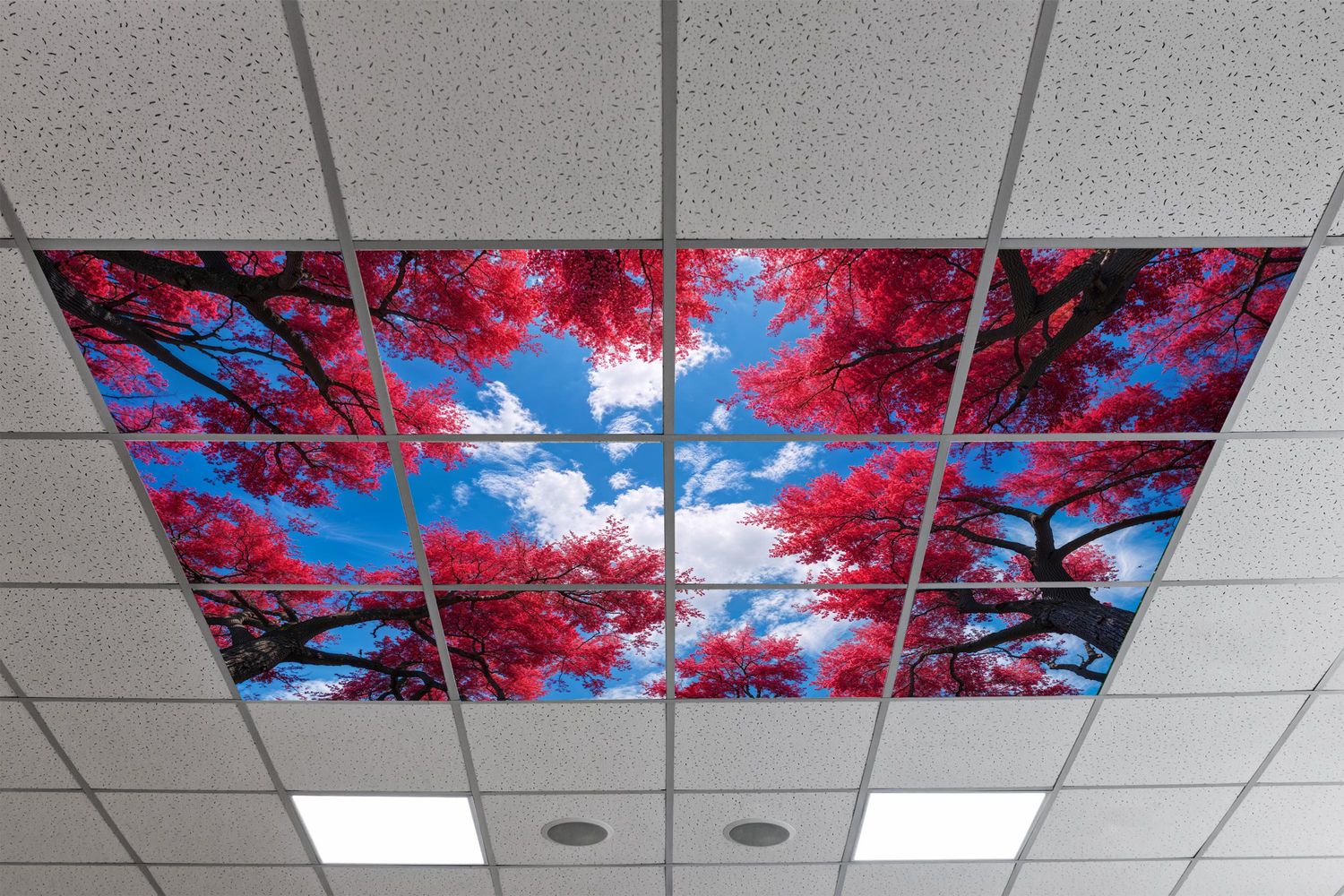 Sky Trees Flowers LED Ceiling Light Panels - Red Maple Canopy - 600x600
