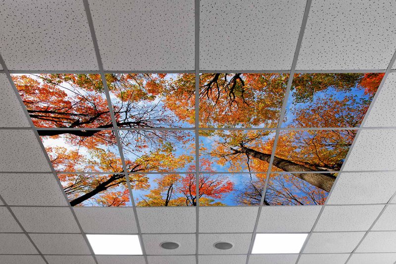 Sky Trees Flowers LED Ceiling Light Panels - Autumn Forest Canopy - 600x600