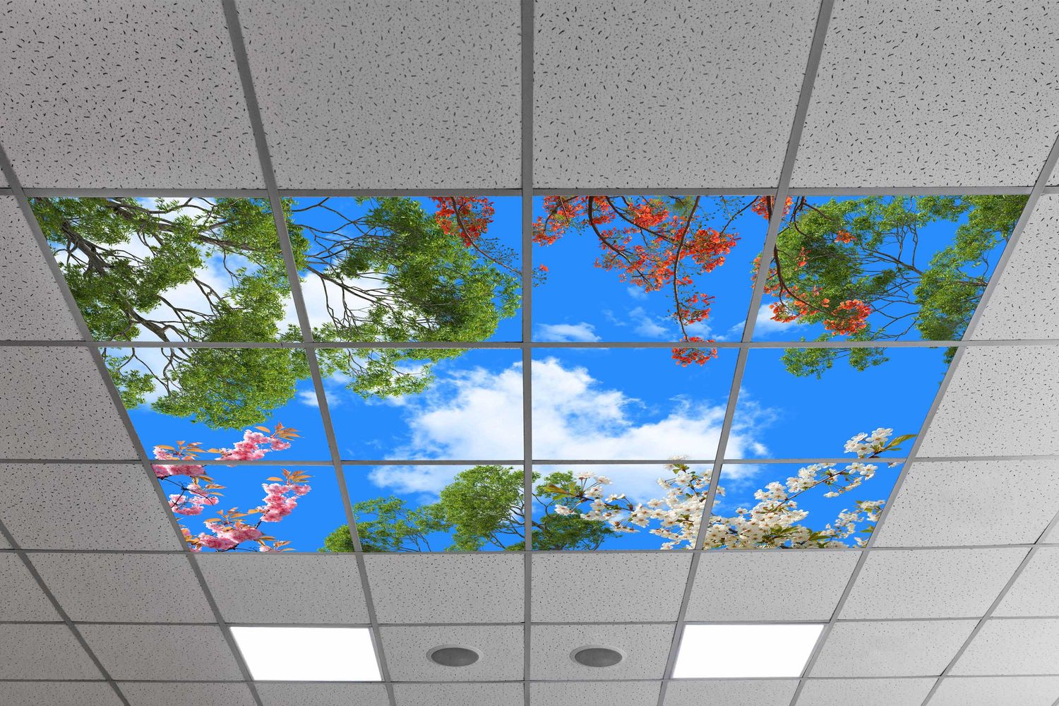 Sky Trees Flowers LED Ceiling Light Panels - Spring Blossom Canopy - 600x600