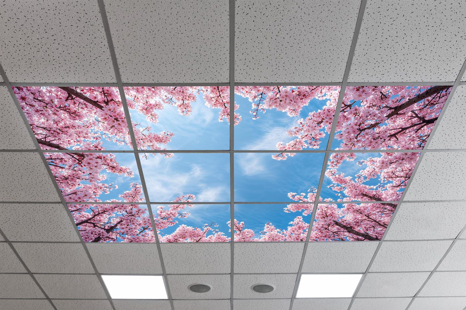 Sky Trees Flowers LED Ceiling Light Panels - Cherry Blossom Canopy - 600x600