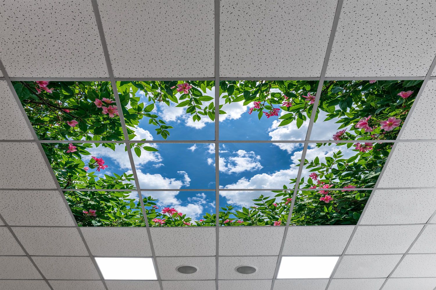 Sky Trees Flowers LED Ceiling Light Panels - Pink Blossom Canopy - 600x600