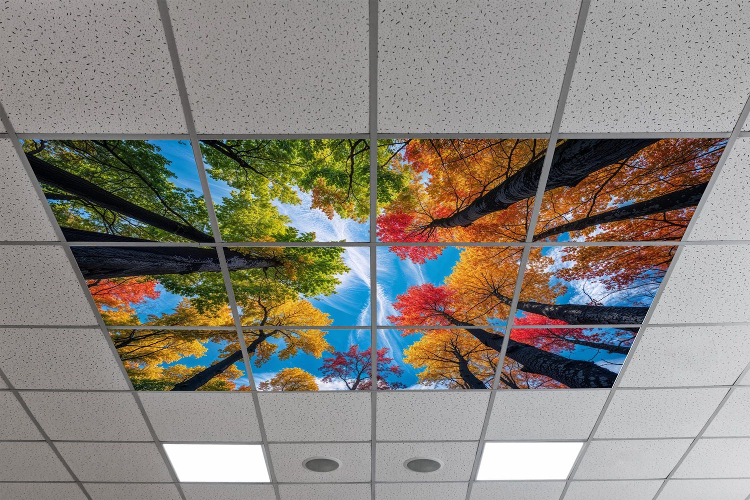 Sky Trees Flowers LED Ceiling Light Panels - Autumn Spectrum Canopy - 600x600