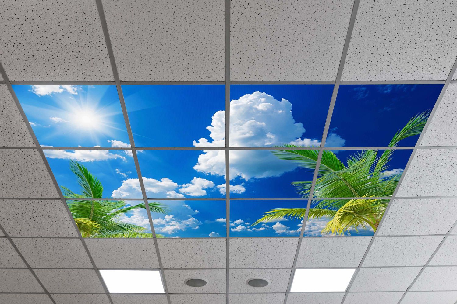 Sky Tropical Trees LED Ceiling Light Panels - Sunny Palms - 600x600