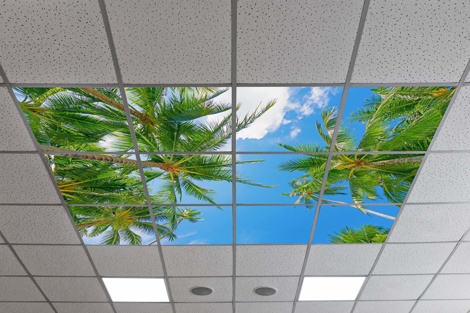 Sky Tropical Trees LED Ceiling Light Panels - Coconut Palms - 600x600