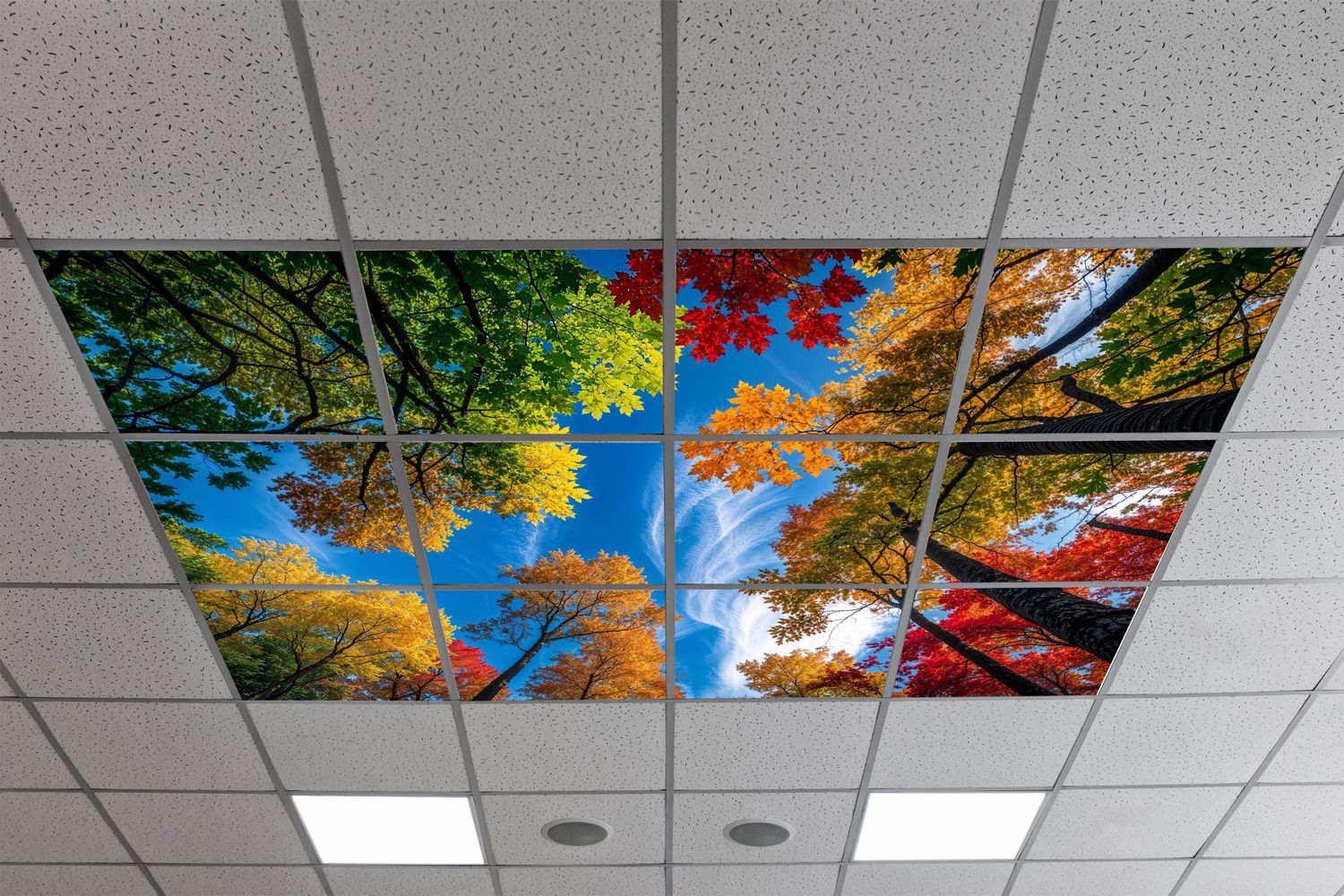 Sky Trees Flowers LED Ceiling Light Panels - Autumn Canopy Sky View - 600x600