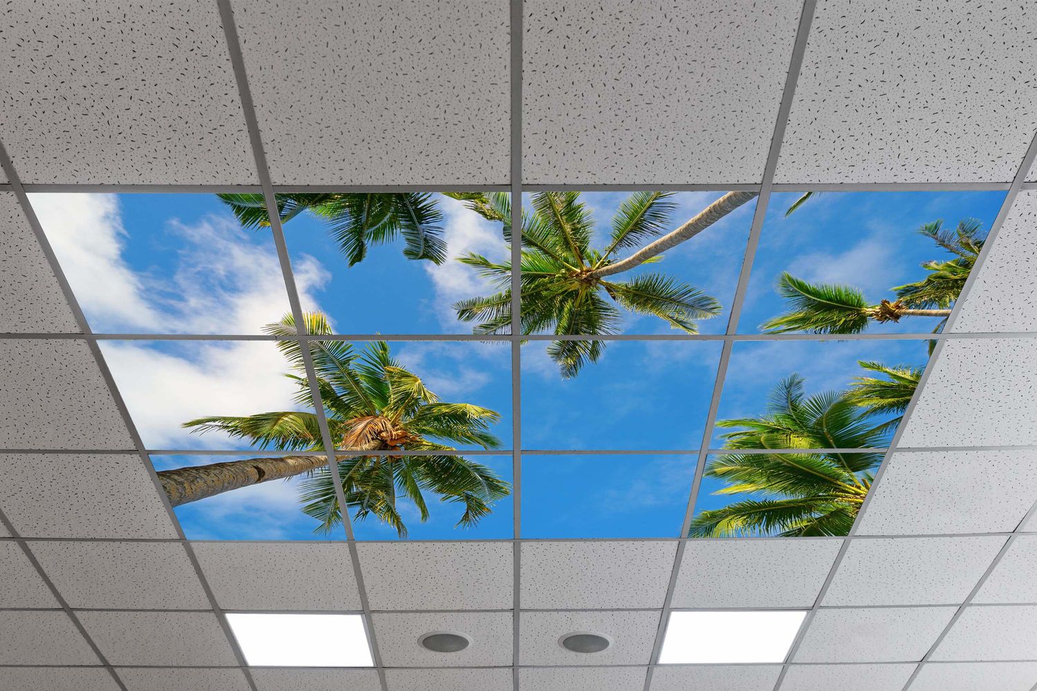 Sky Tropical Trees LED Ceiling Light Panels - Palm View - 600x600