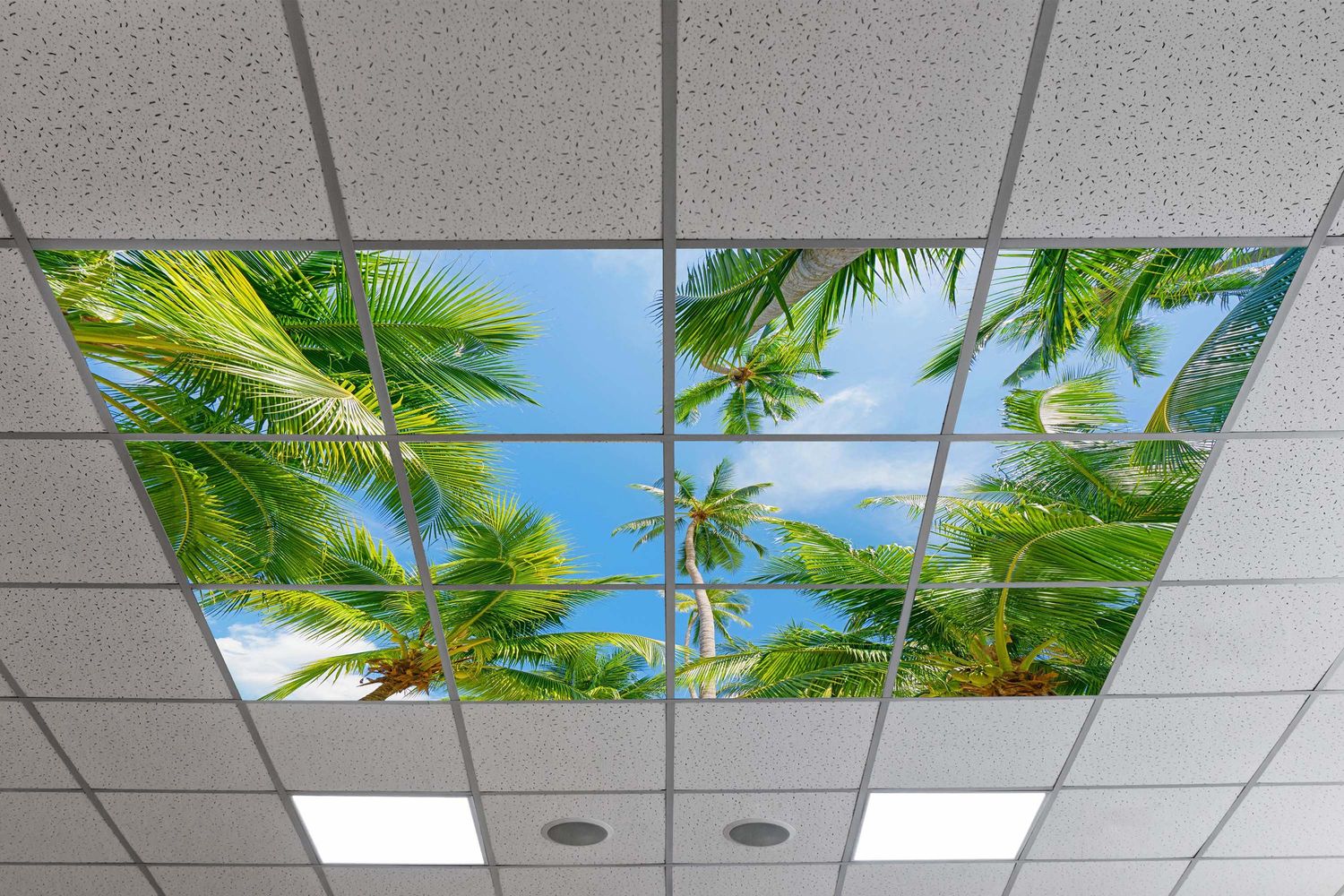 Sky Tropical Trees LED Ceiling Light Panels - Palm Canopy - 600x600