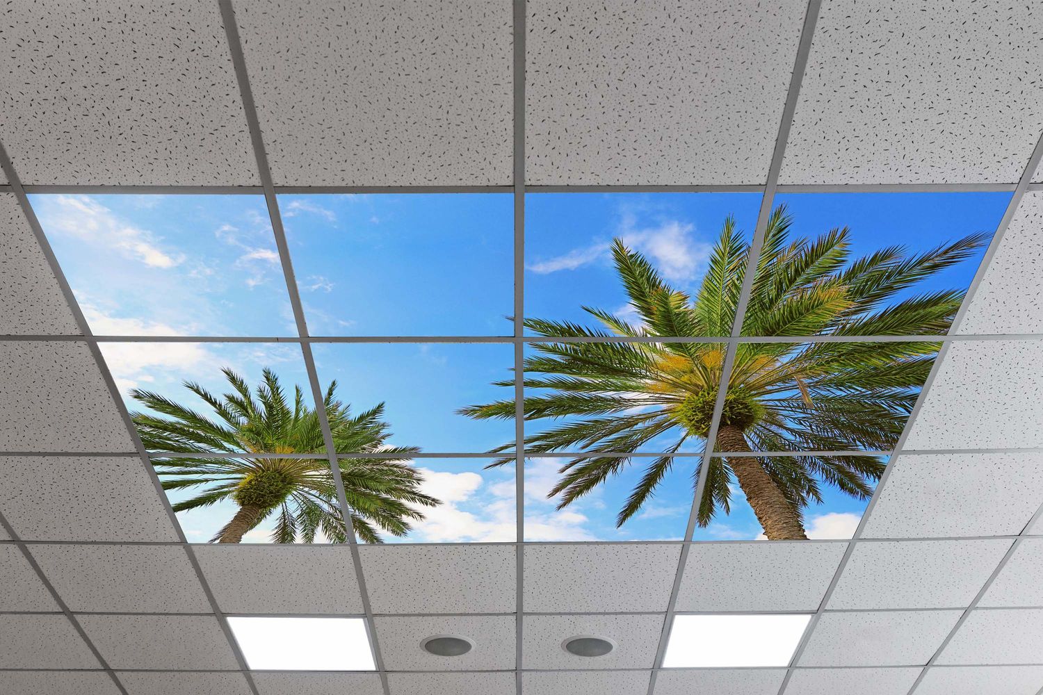 Sky Tropical Trees LED Ceiling Light Panels - Palm Canopy - 600x600