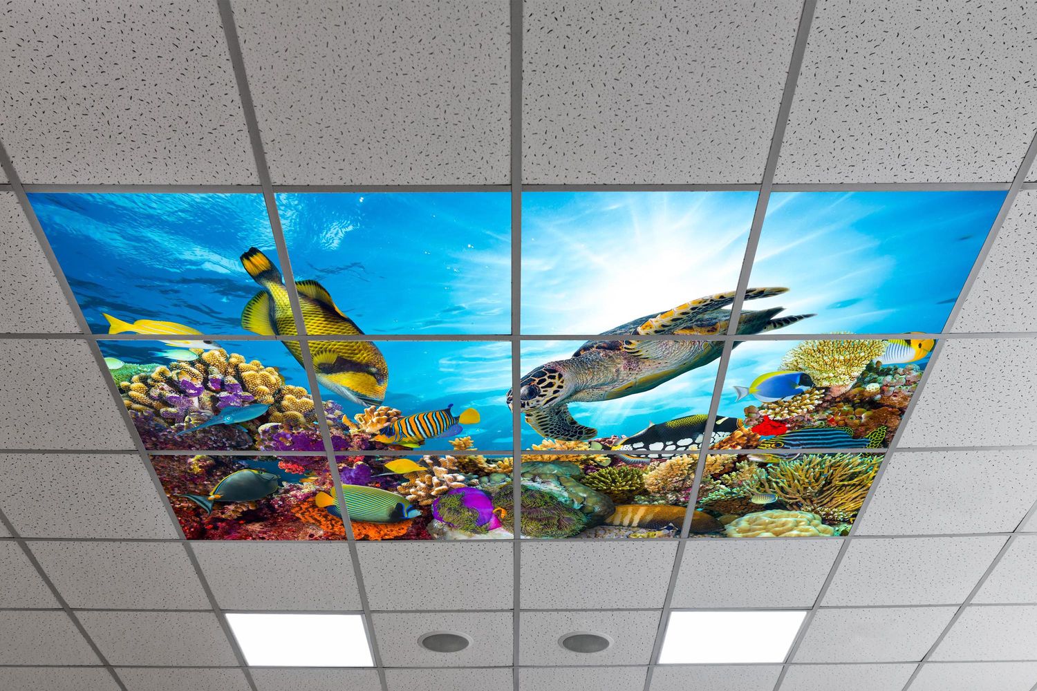 Underwater LED Ceiling Light Panels - Coral Reef with Sea Turtle - 600x600