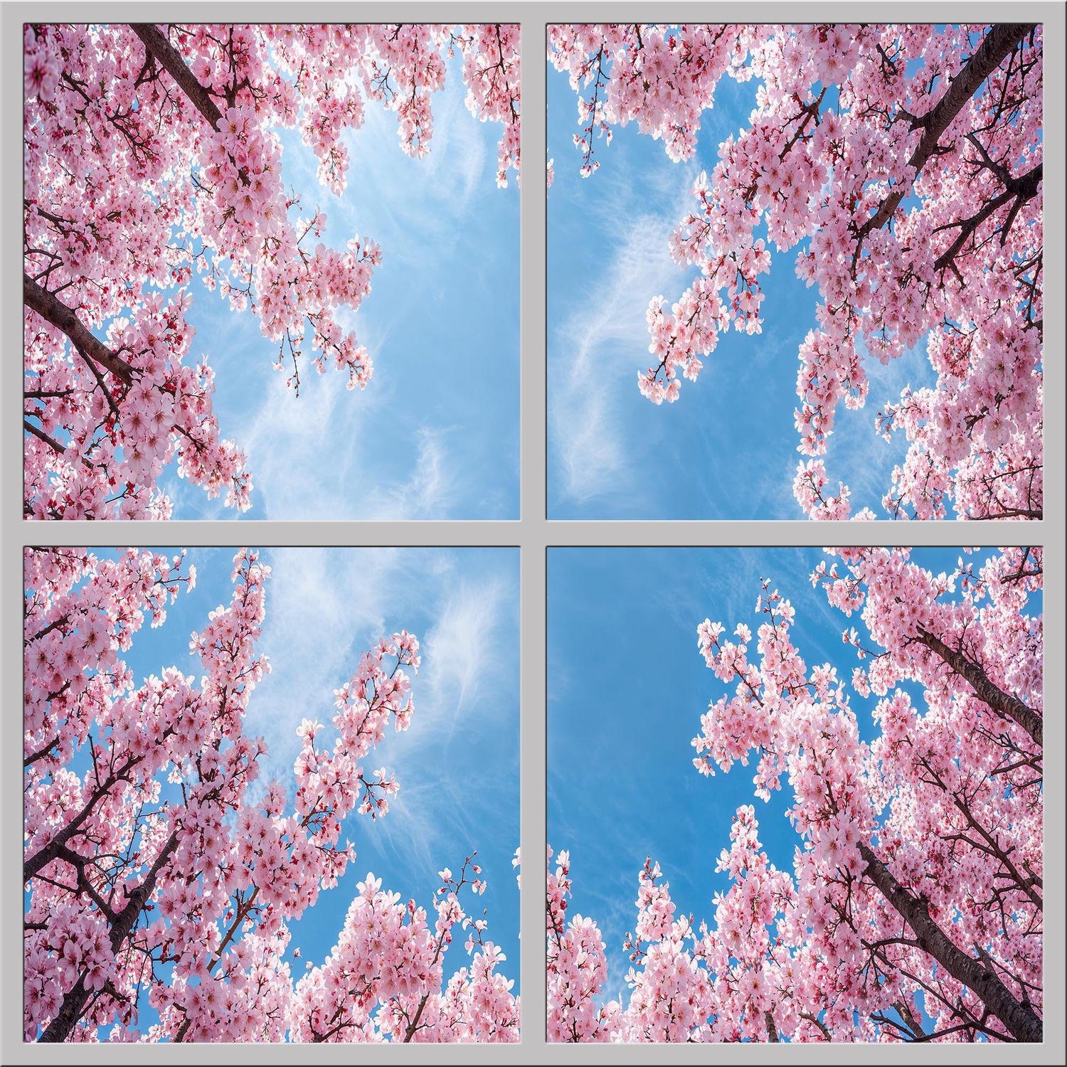 Sky Trees Flowers LED Ceiling Light Panels - Cherry Blossom Canopy - 600x600 Sky Trees Flowers LED Ceiling Light Panels - Cherry Blossom Canopy - 600x600