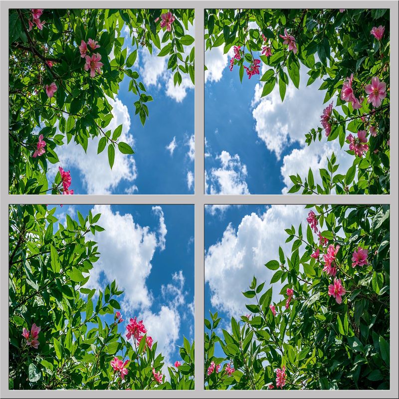 Sky Trees Flowers LED Ceiling Light Panels - Pink Blossom Canopy - 600x600