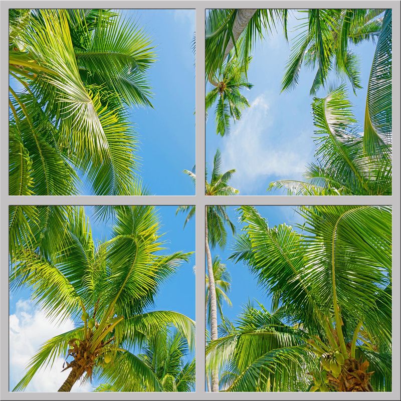 Sky Tropical Trees LED Ceiling Light Panels - Palm Canopy - 600x600