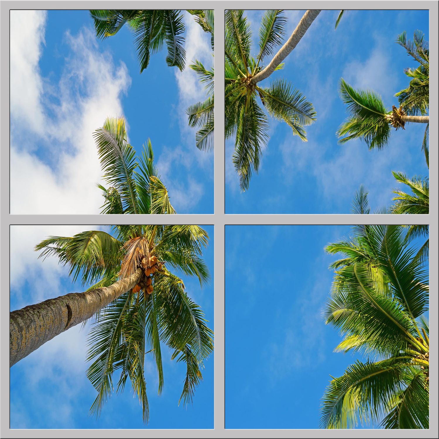 Sky Tropical Trees LED Ceiling Light Panels - Palm View - 600x600 Sky Tropical Trees LED Ceiling Light Panels - Palm View - 600x600