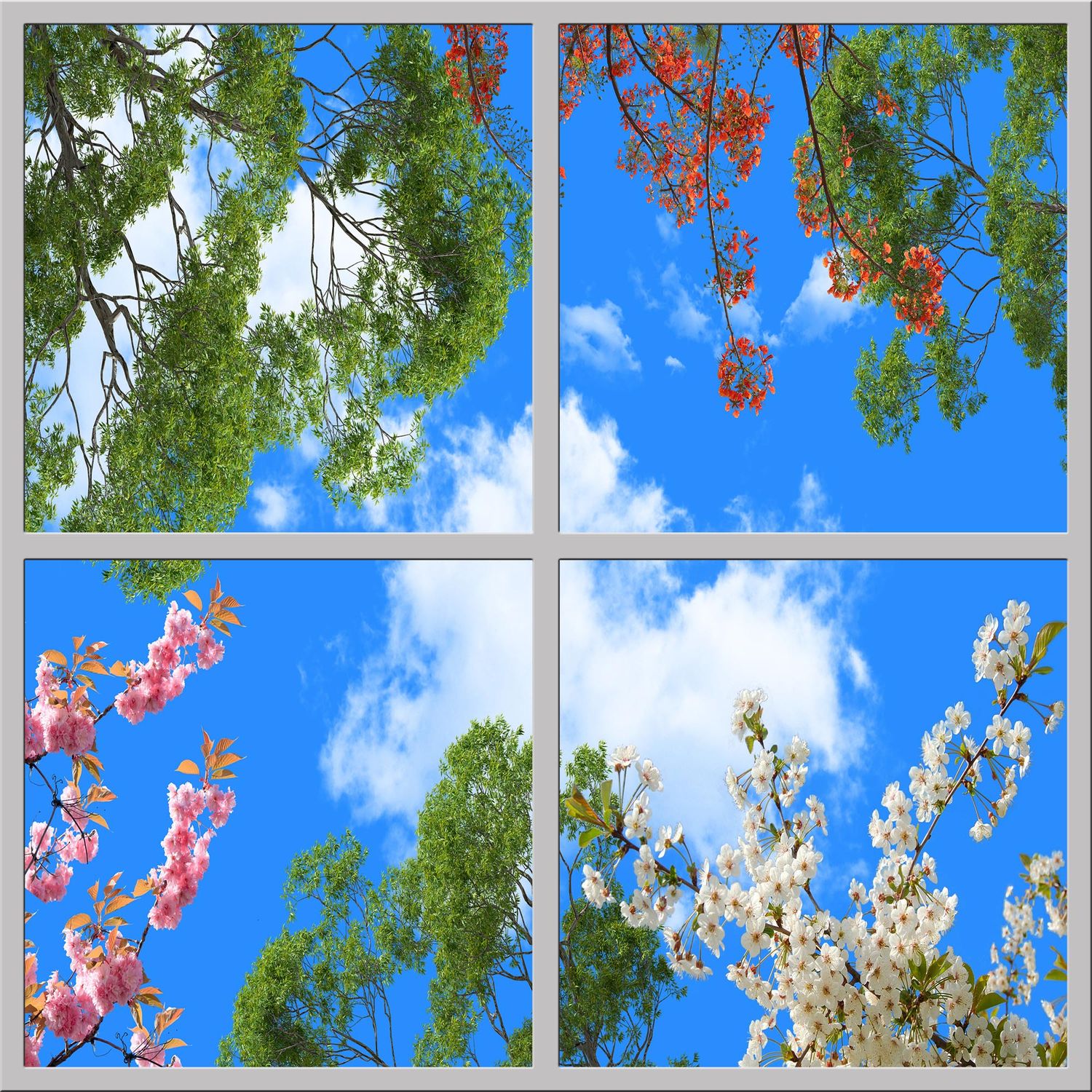 Sky Trees Flowers LED Ceiling Light Panels - Spring Blossom Canopy - 600x600 Sky Trees Flowers LED Ceiling Light Panels - Spring Blossom Canopy - 600x600