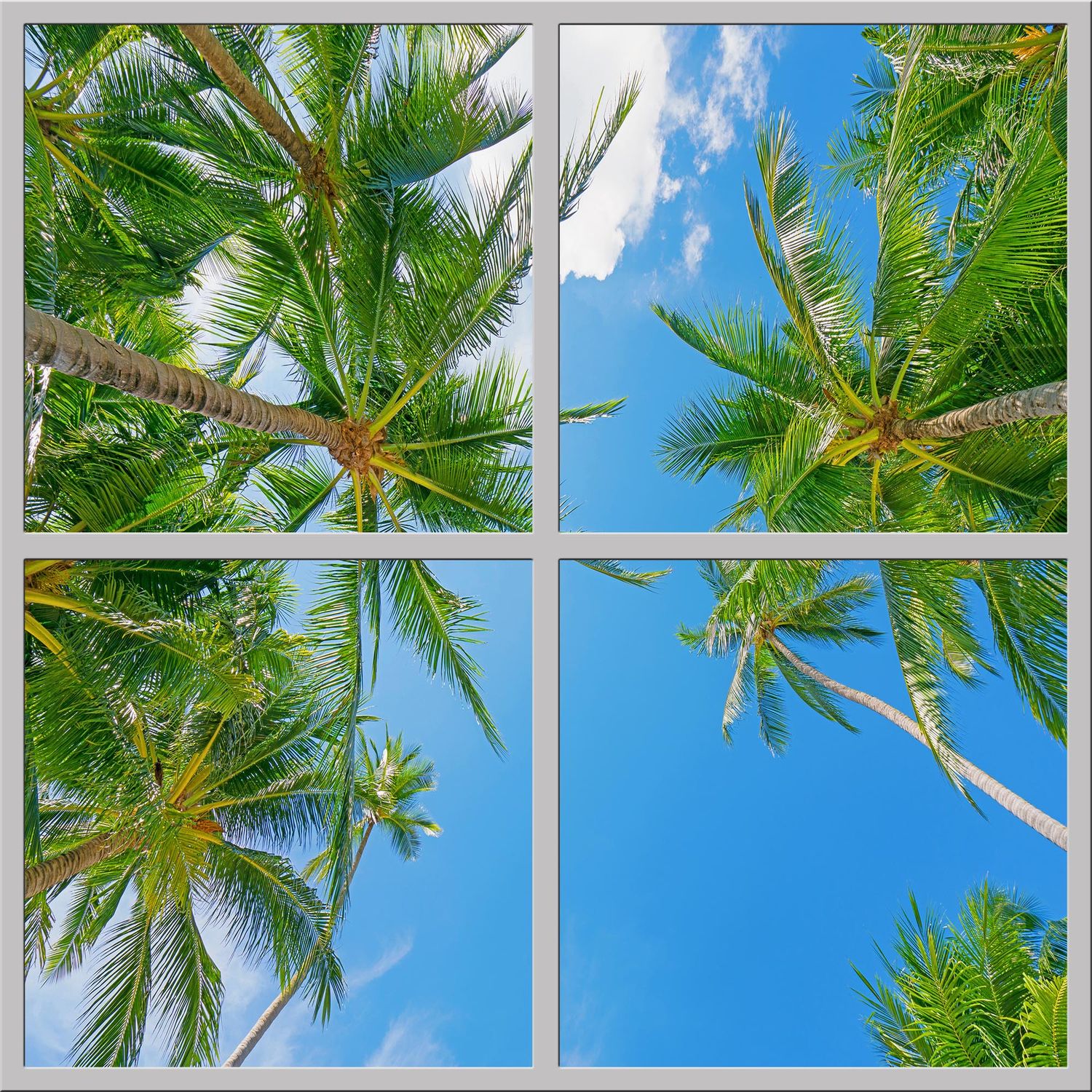 Sky Tropical Trees LED Ceiling Light Panels - Coconut Palms - 600x600