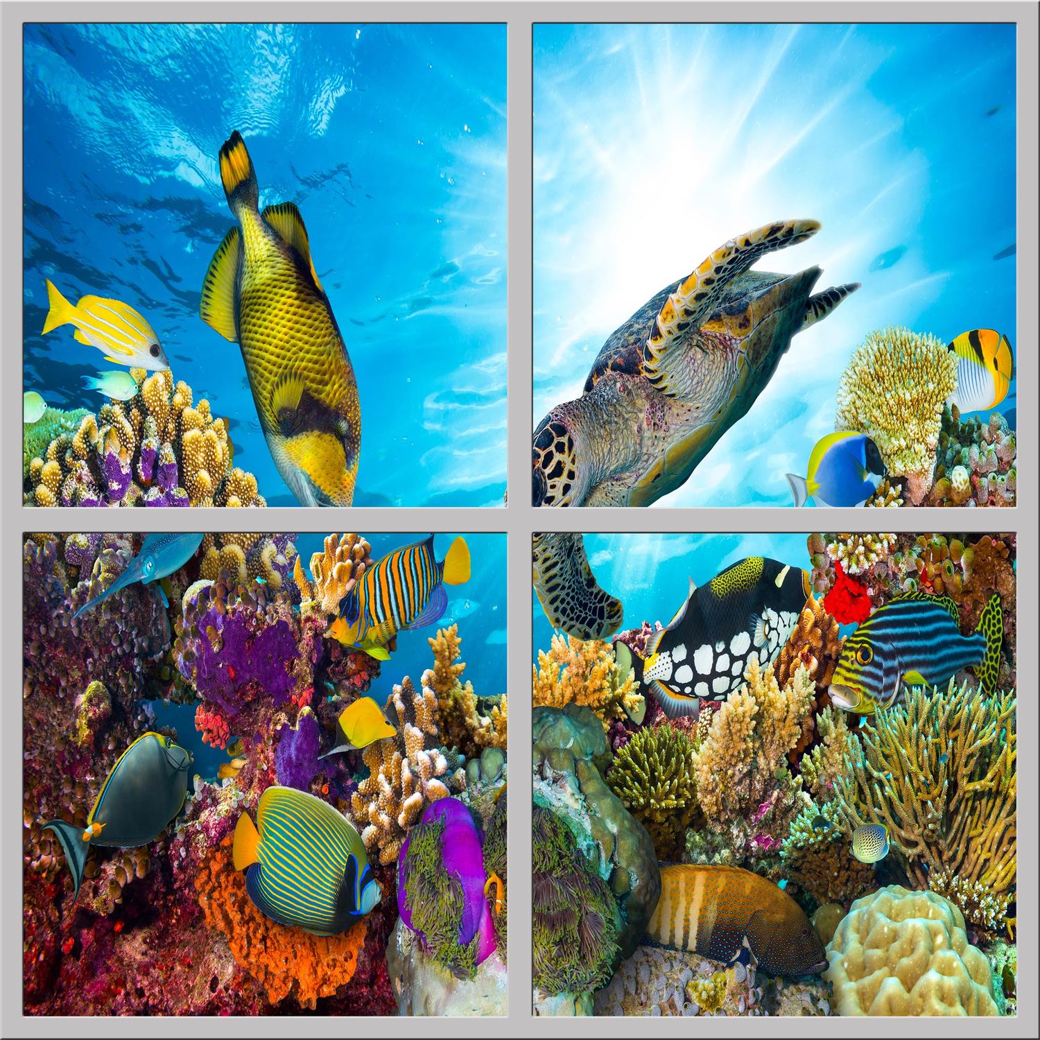 Underwater LED Ceiling Light Panels - Coral Reef with Sea Turtle - 600x600 Underwater LED Ceiling Light Panels - Coral Reef with Sea Turtle - 600x600