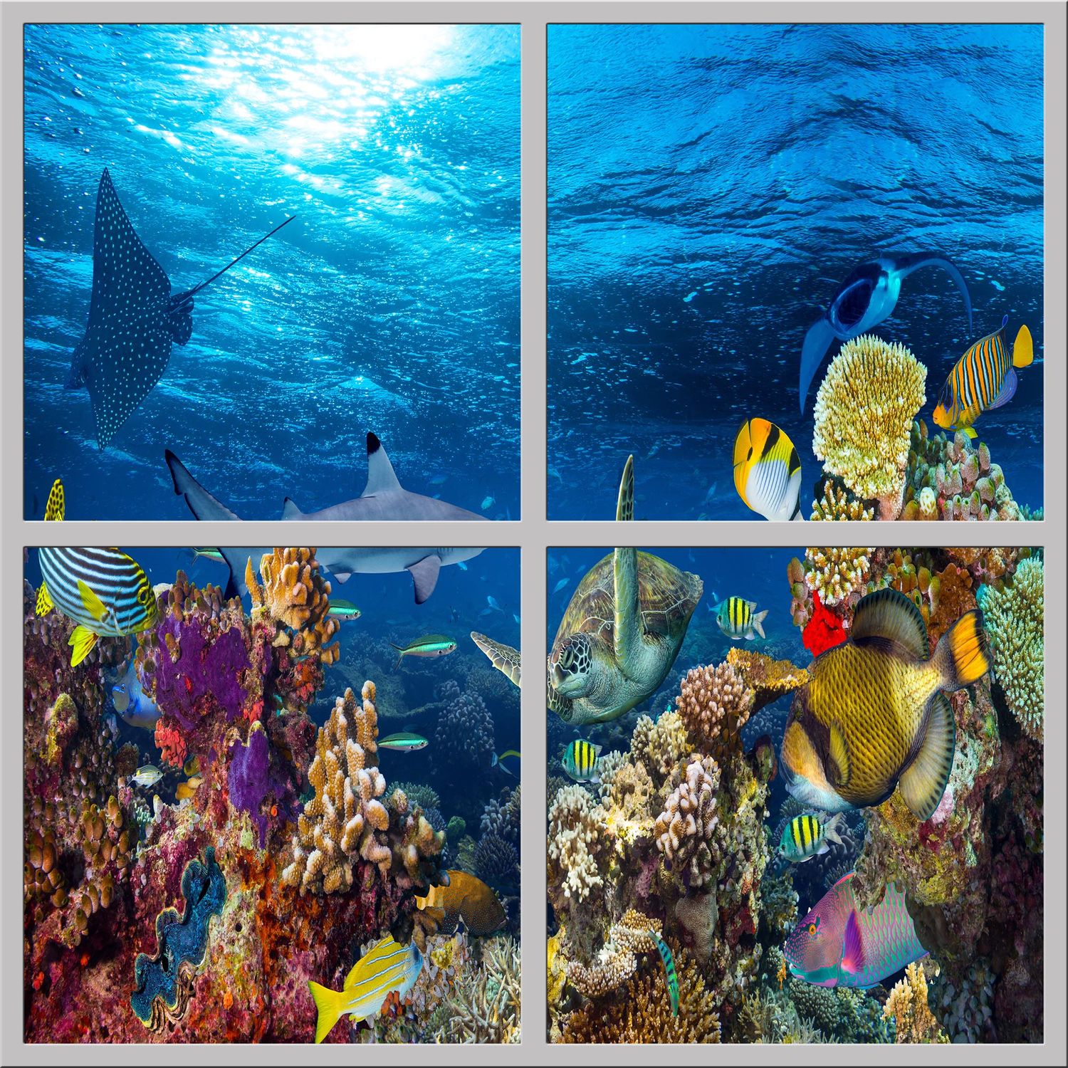 Underwater LED Ceiling Light Panels - Coral Reef with Sharks, Turtles & Rays - 600x600 Underwater LED Ceiling Light Panels - Coral Reef with Sharks, Turtles & Rays - 600x600