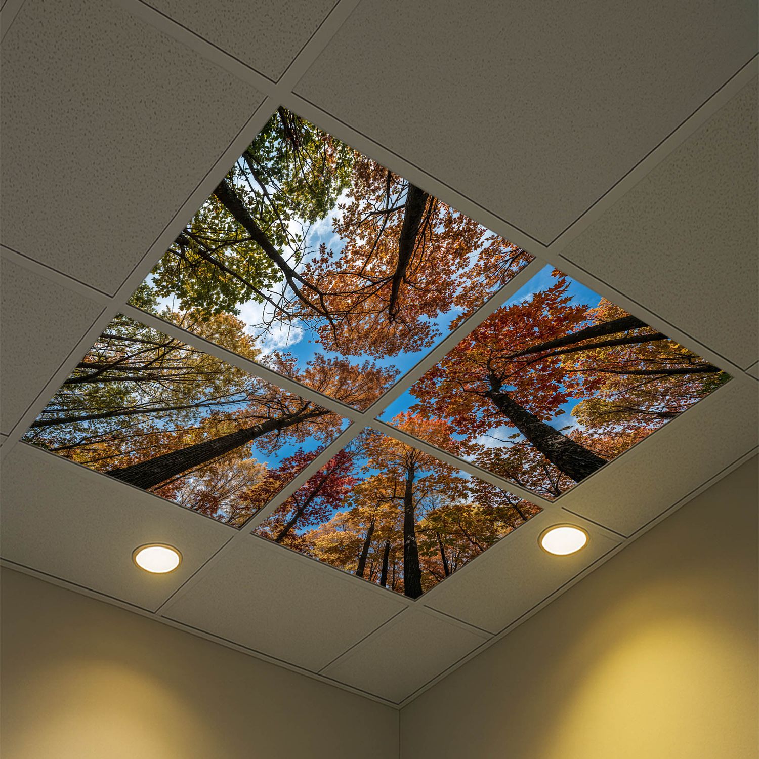 Sky Trees Flowers LED Ceiling Light Panels - Autumn Canopy Skyview - 600x600 Sky Trees Flowers LED Ceiling Light Panels - Autumn Canopy Skyview - 600x600
