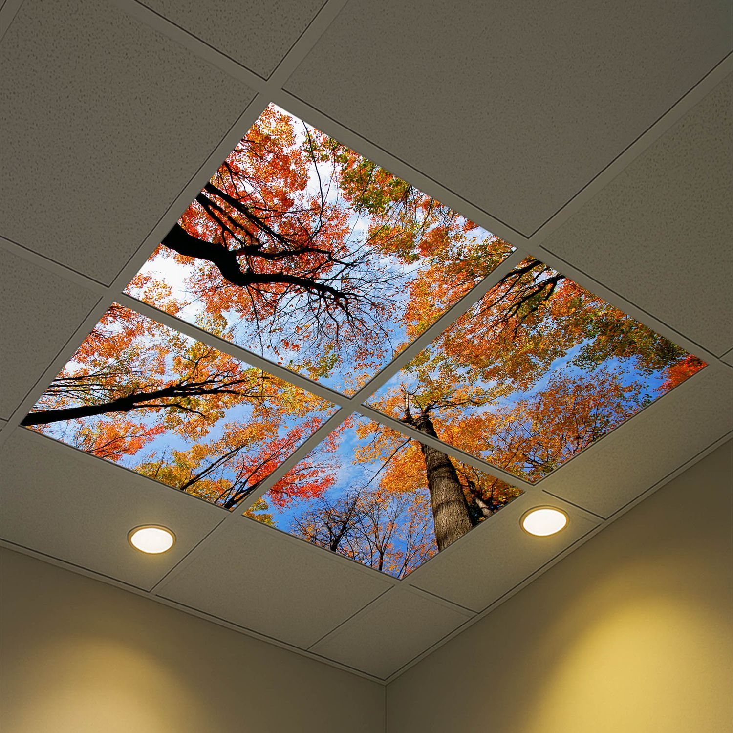 Sky Trees Flowers LED Ceiling Light Panels - Autumn Forest Canopy - 600x600 Sky Trees Flowers LED Ceiling Light Panels - Autumn Forest Canopy - 600x600